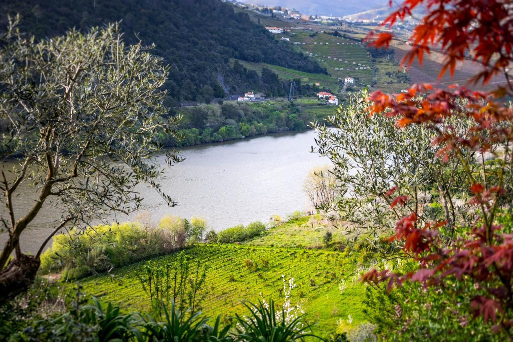 Fraga Douro House, Douro Valley 雷森迪 外观 照片